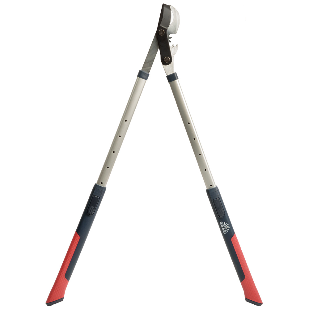 Сучкоріз телескопічний Vitals Professional LS-930-01T